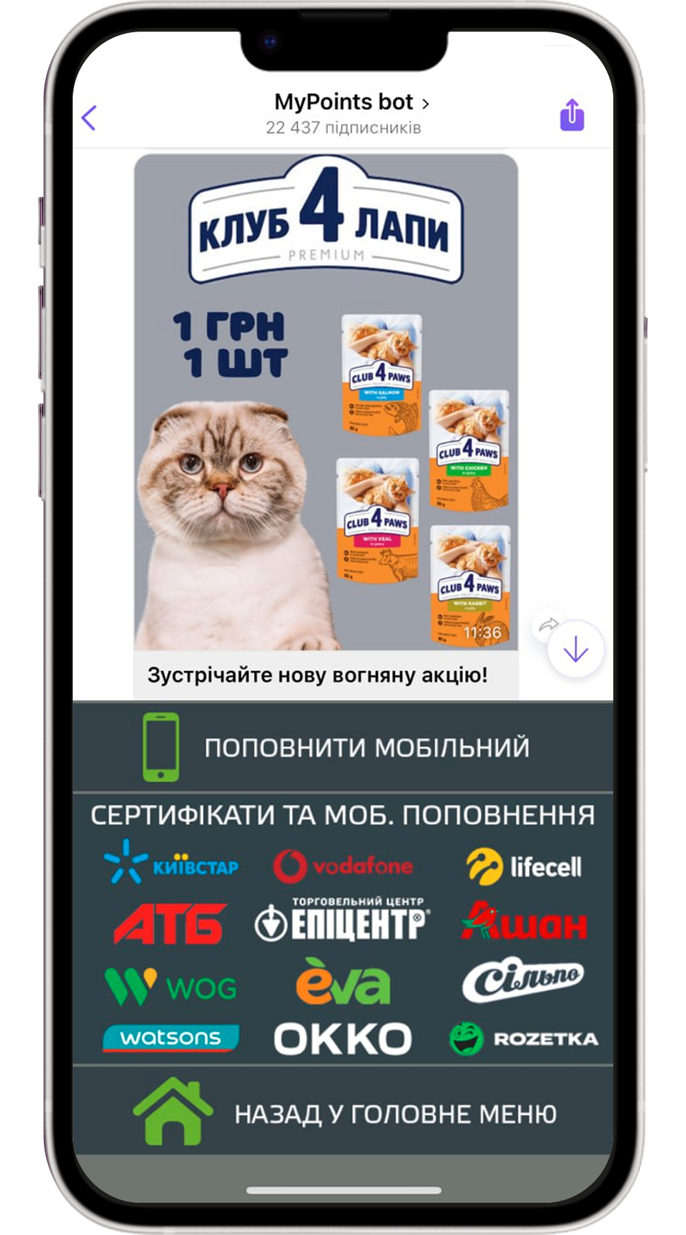 phone